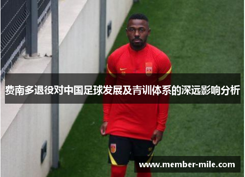 费南多退役对中国足球发展及青训体系的深远影响分析