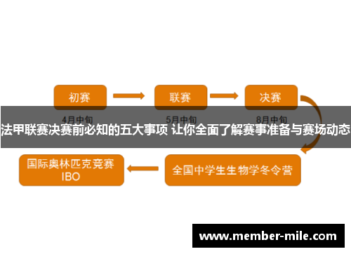 法甲联赛决赛前必知的五大事项 让你全面了解赛事准备与赛场动态 法甲联赛决赛前必知的五大事项 让你全面了解赛事准备与赛场动态